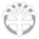 Dragon Reactor Core