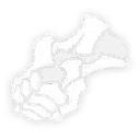 Fist of Conviction