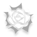 Merit Bestowed in "My" Garden